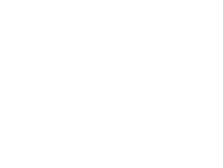 Telephone with sound waves icon